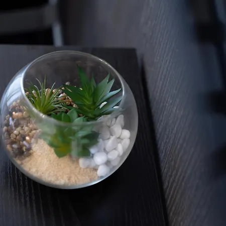 Гостевой дом Palu' Sea View